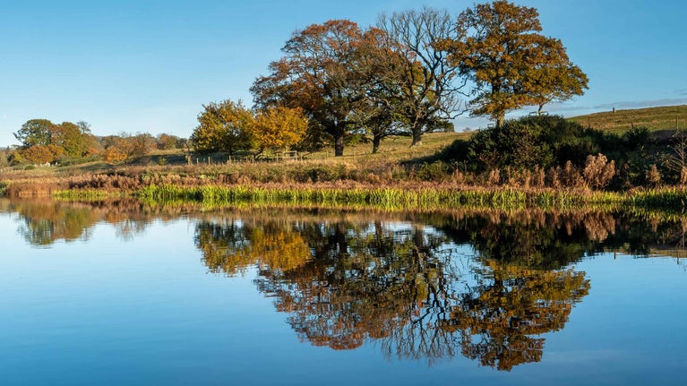 Reflections in the lake at Felbrigg Hall, Norfolk